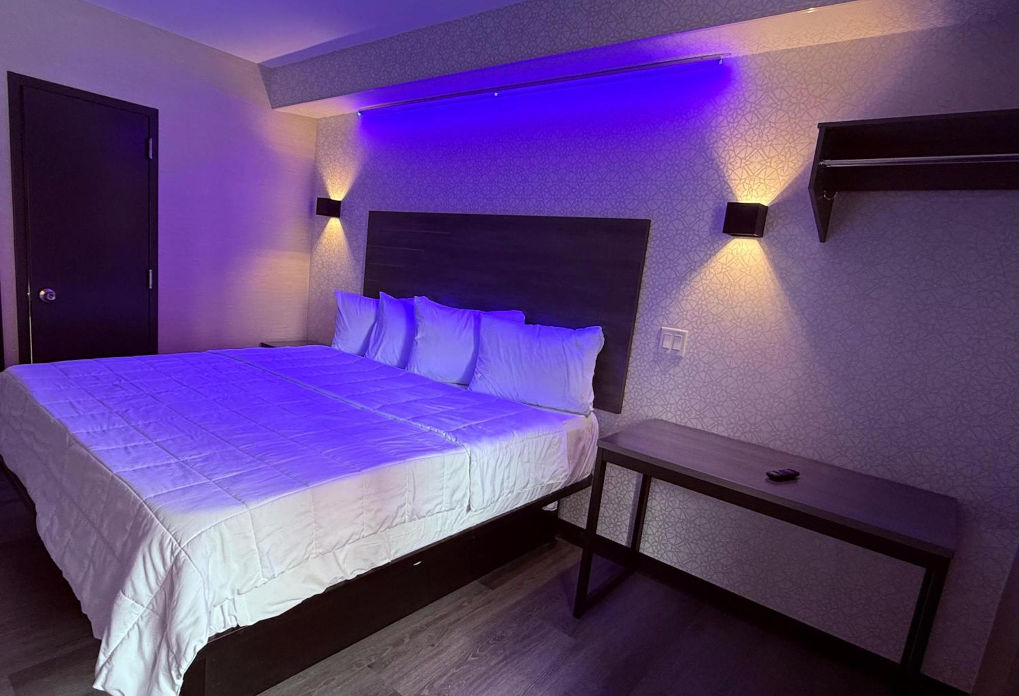 Hotel The Vine Bronx New New York